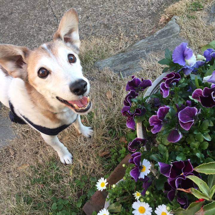 B27071e2 b0d9 4389 b985 9c68e720773b 1522366287594