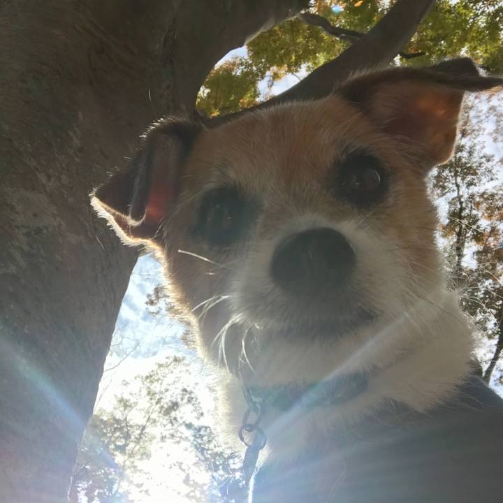 B27096c8 76f0 431b 8cfa eaee07516fa6 1604718004440