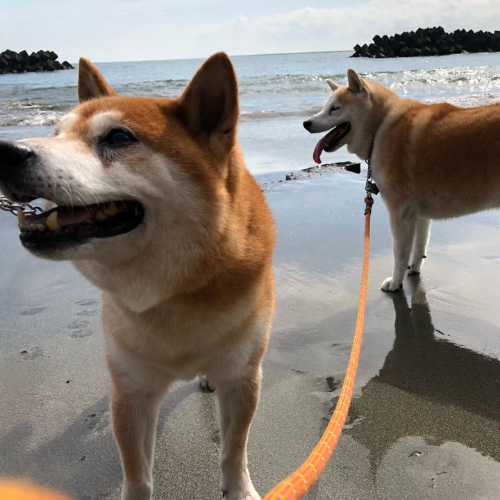 B2712353 de85 4d9f a306 cb57222a7847 1537781498794