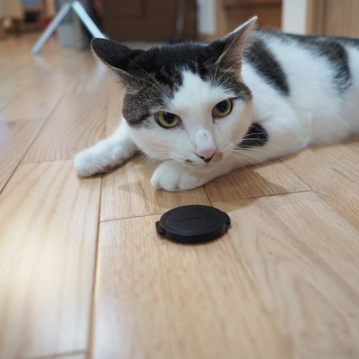 B2713f0d d642 4a94 9584 9b634bc18071 1537919558559