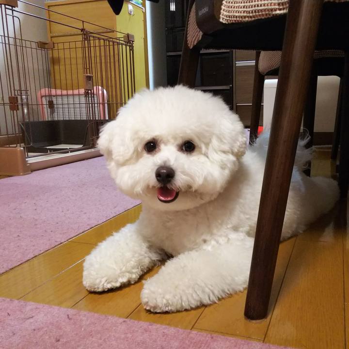 B2717e8f 8cc4 47e5 926d 38e07df10410 1522899213052