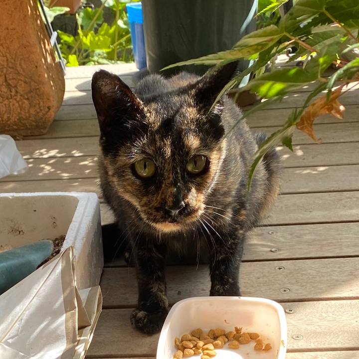 B2720642 4e37 40a4 9648 f98bad43a6a5 1598506637020