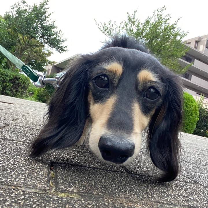 B27214a6 3e20 49d5 a9b0 7bdc2b3952dc 1754025574119