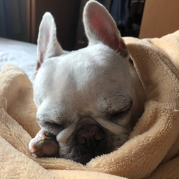 B2723924 4769 45a6 afd5 3964b354fd84 1631709295827