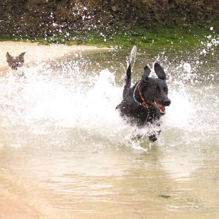 B2727abf 0152 4c42 ac6a ef78159f0a8e 1716731828362