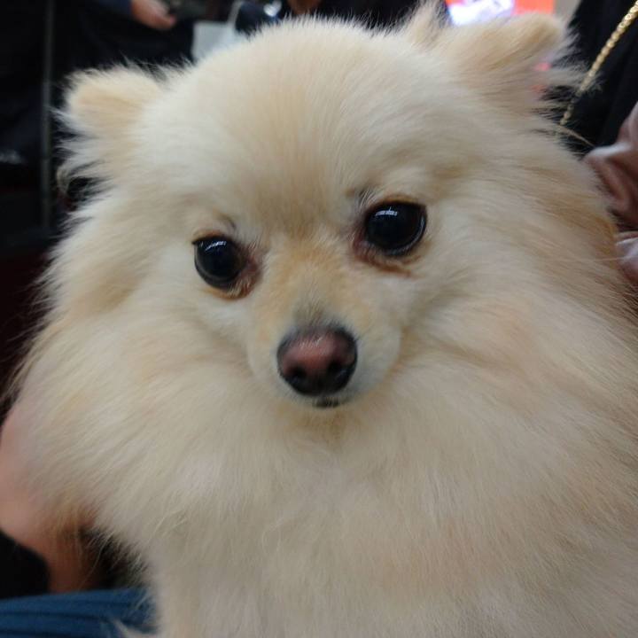 B2729b31 6e70 4fd4 9f47 5239e97f1db1 1572858925317