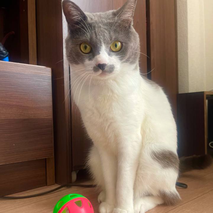 B2730b53 7fcd 47d1 ba33 b0856ed9b406 1638492311195