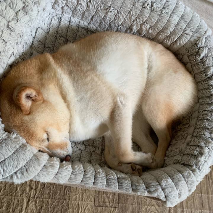 B2730df7 dde6 451e a602 44fbad16e7ea 1657855733738