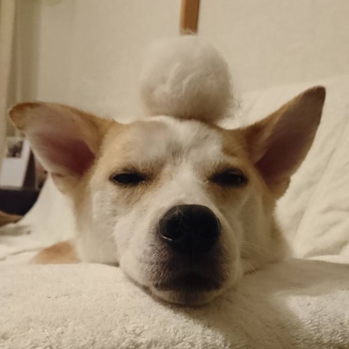 B2737a85 493b 4ae0 b6c6 d8459d26ca39 1596680393524