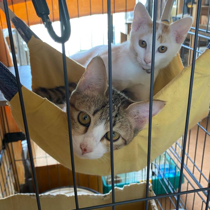 B2738e31 0130 4f91 b63c dd48d6a0e76a 1756438689021