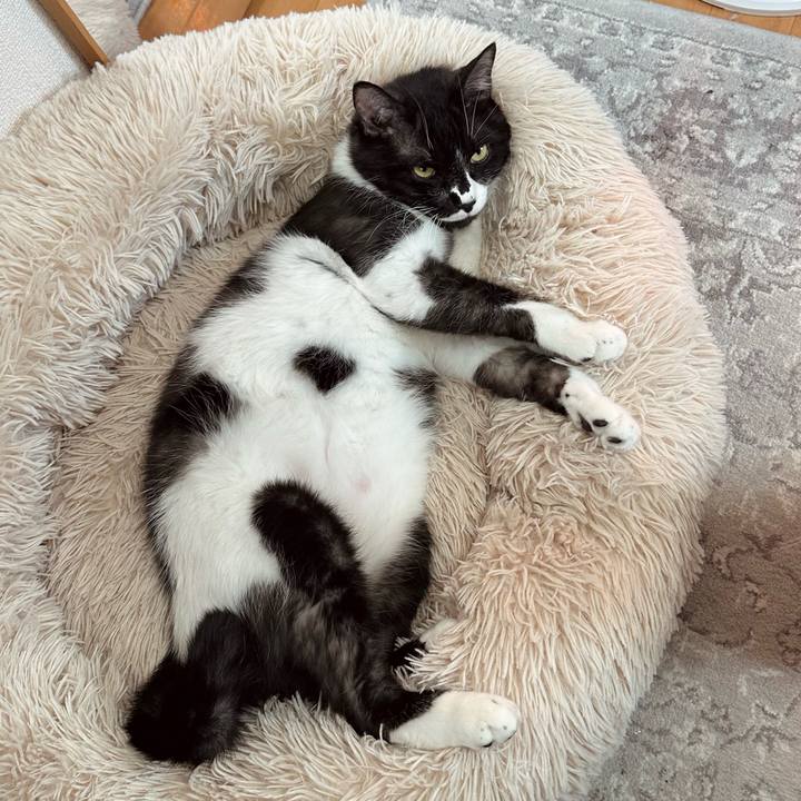 B273ac30 5fa1 460e bc0f 9151a5cee29c 1773020312646