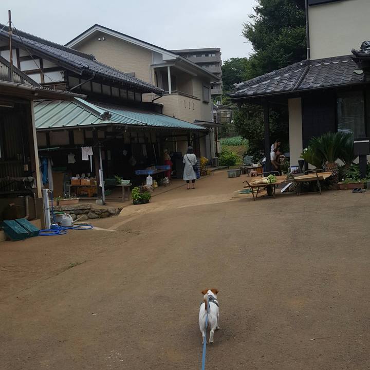 B273c671 c097 4f53 966f c32964762fa8 1562808346494