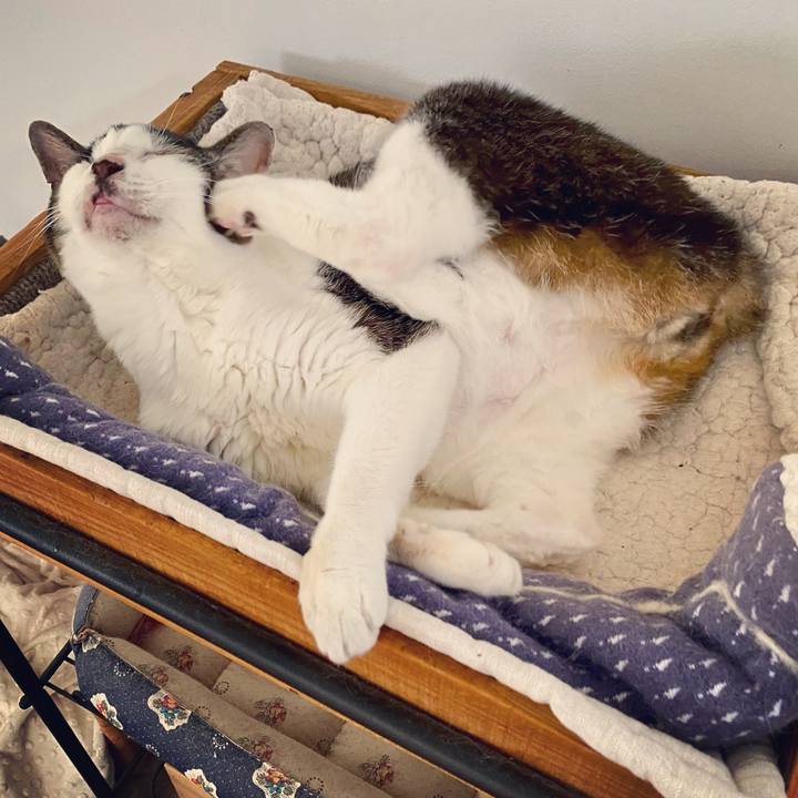 B273e72e 65a4 4387 9079 9dbc6fd3774d 1624178779686