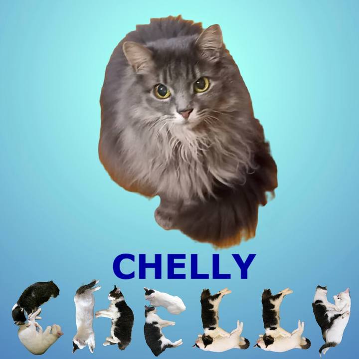 B273ef9e a99f 4331 b145 dc0f56335fe9 1668518597061