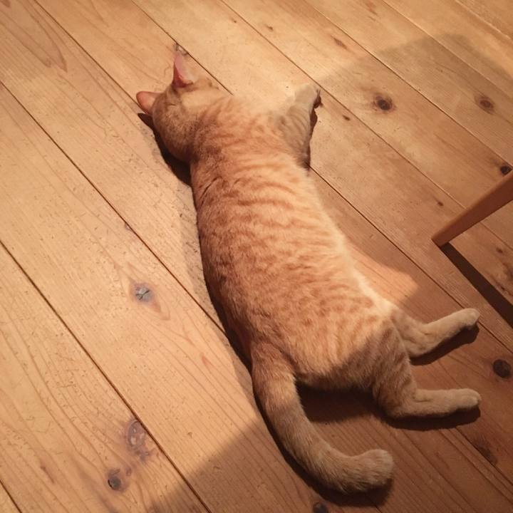 B273fe36 5808 4ef0 9c95 71f730b80cf2 1557879591352