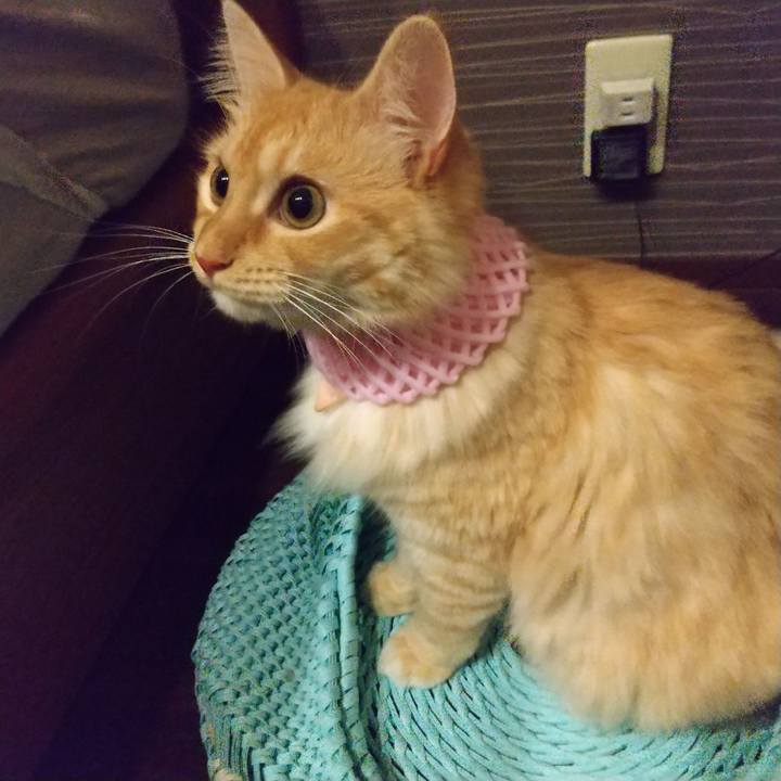 B273ff07 55ec 4a54 a3f9 c3420508dd7f 1628421659789