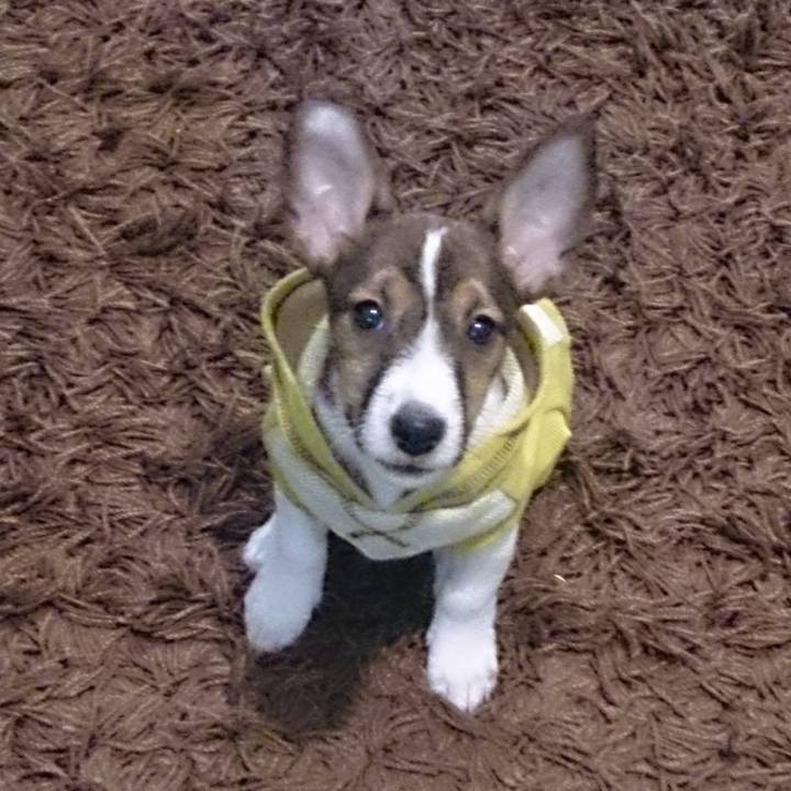 B27429fa f7a7 4509 b88c 7060ba10d070 1771632807354