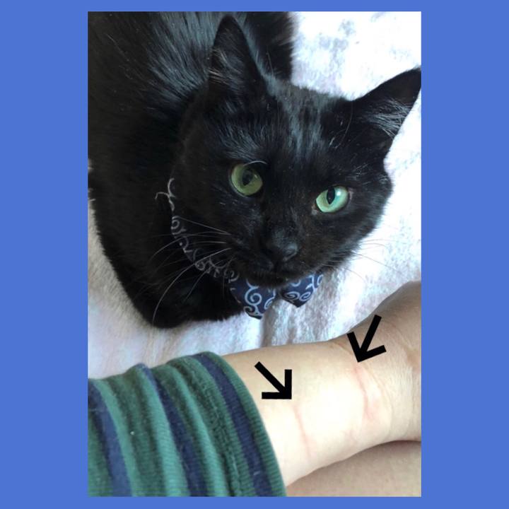 B2746d24 8420 4553 bdc6 b9635da312e4 1579329317407