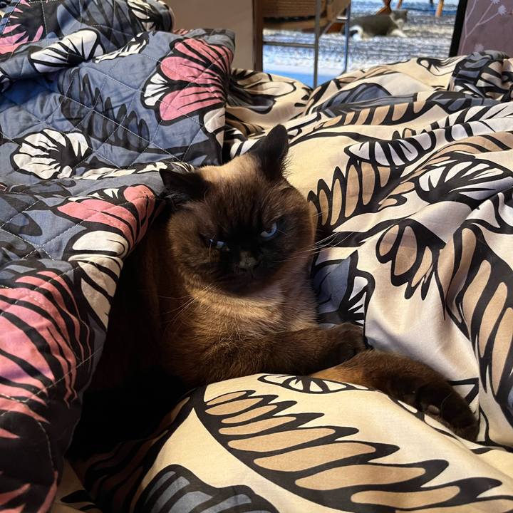 B27470a9 2d2c 44df bf0e 4593a6740844 1743723857058