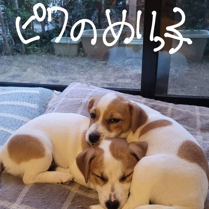 B2748002 2948 4ca7 b717 b3925fc0b465 1673395691116