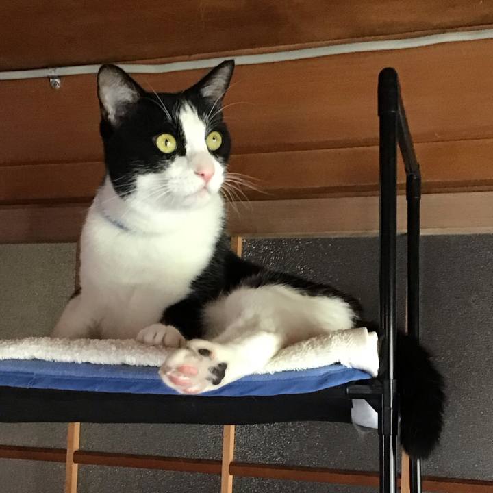 B274a7fc 8f84 4f35 b8fd d64b0b2236bf 1693200544306