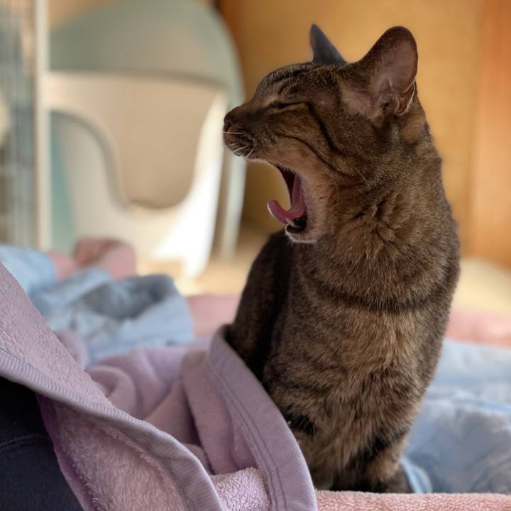 B274ac45 fcb3 4c5e 9d04 79d327901c52 1605316790169