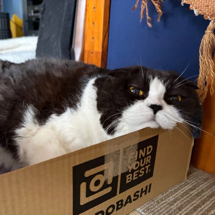 B274e2e5 c450 441b 8632 85e2a4b507ce 1775514504215