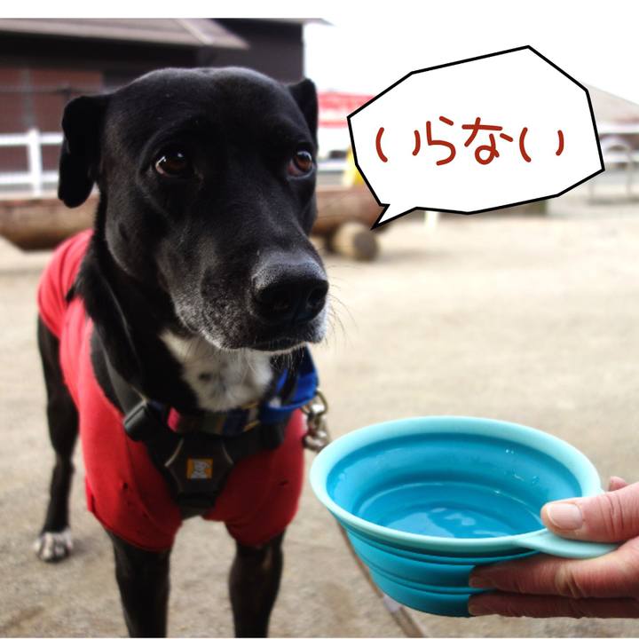 B27510cd 44d3 45de a37c 02f2f10d3f7d 1642900600039