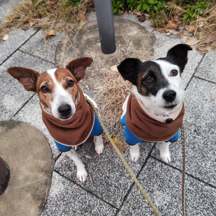 B27594af 5b26 4921 a80e 67b548b1b513 1733349133468