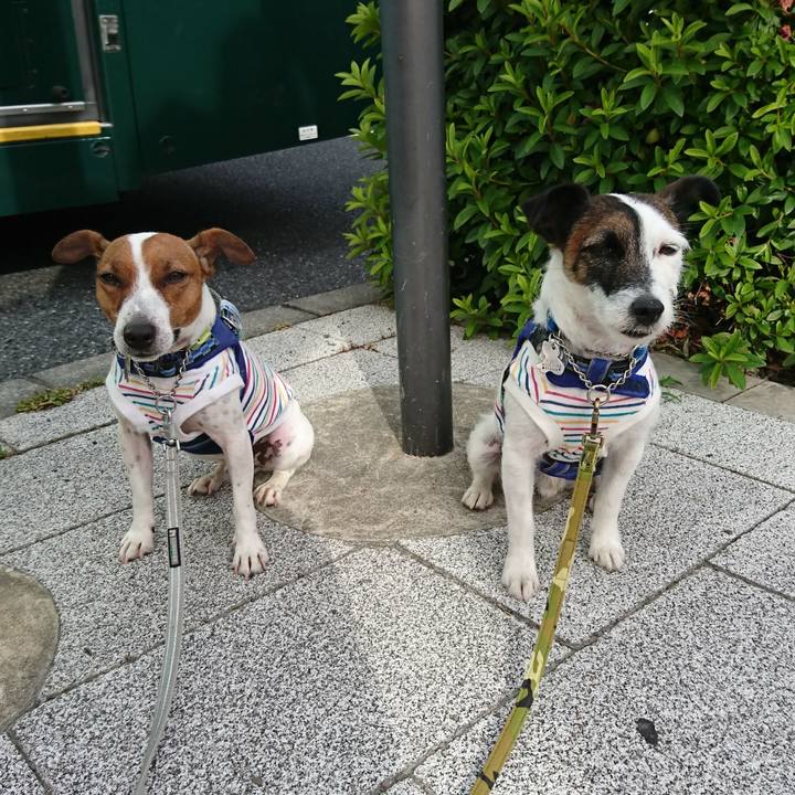 B275c263 5572 43fa a810 c805b90ec880 1558993939056