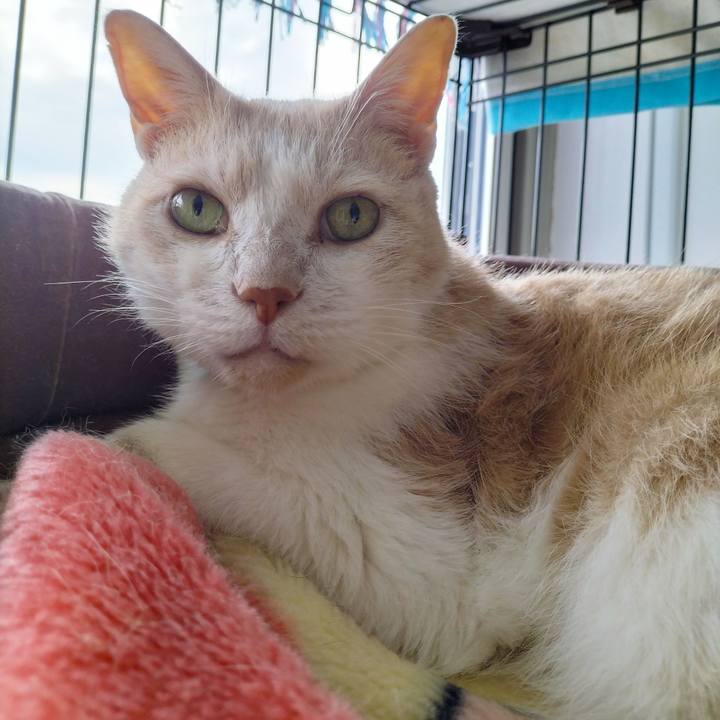 B275c5b4 931a 4275 b141 5f91a56ca925 1685765834995