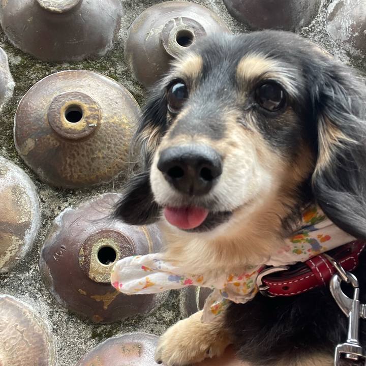 B275d910 fd63 401b b43a 0db65755c210 1688212822585