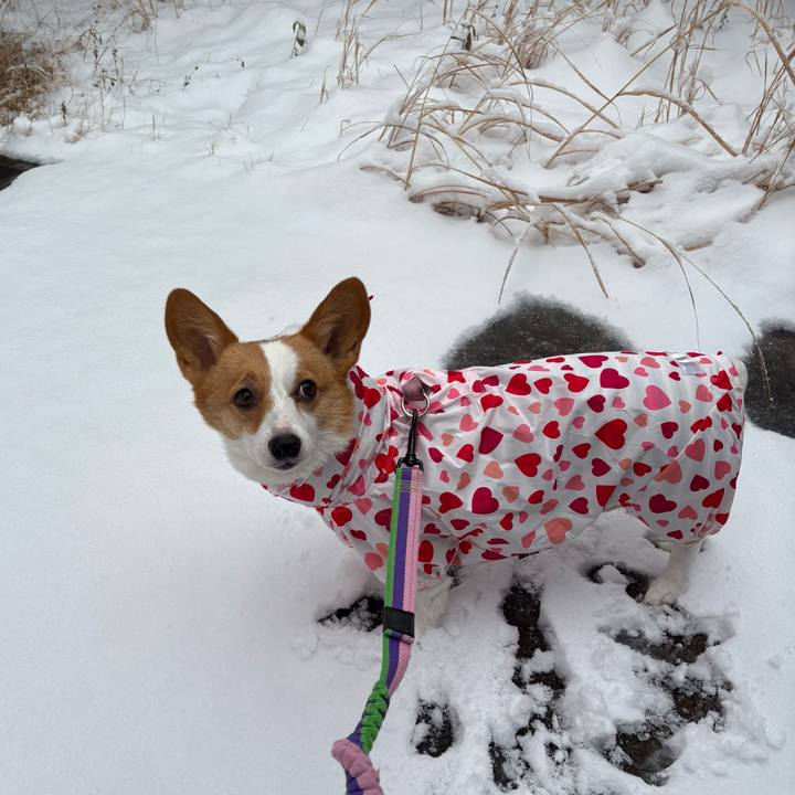 B275f296 3327 405e 87b5 6b39e983922f 1770518376577