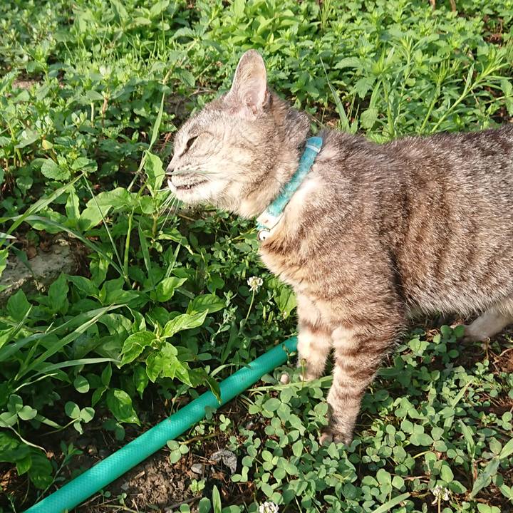 B2762687 929e 4324 bece 404d7325981a 1565562498817