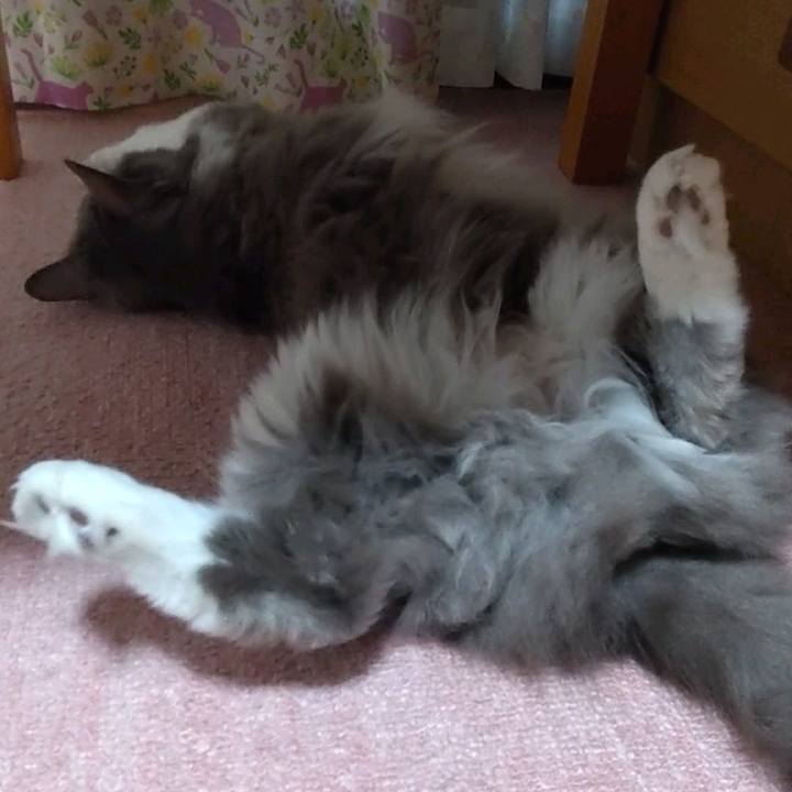 B2764610 1e72 49dc a0cf c6650b529204 1663452952435