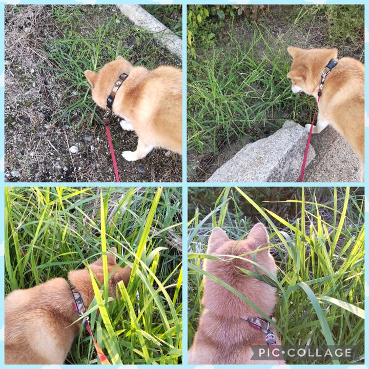 B2765360 b05b 4f06 a53f 854be4ea5e71 1760048540710