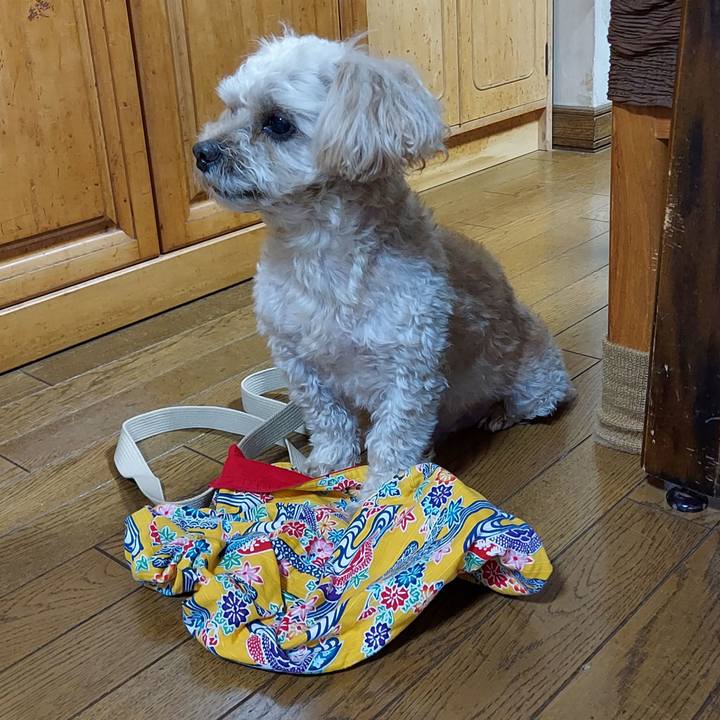 B2769152 16e6 4032 9ad1 6fe560ac2eb9 1668314494354