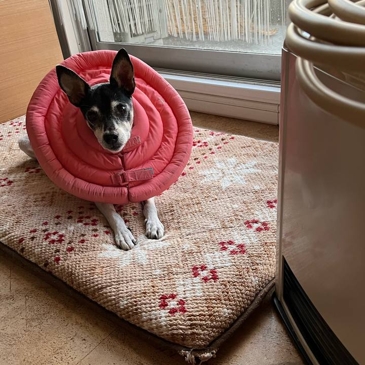 B276c01c accc 4c01 afca 5492d8a2bde3 1637705429674