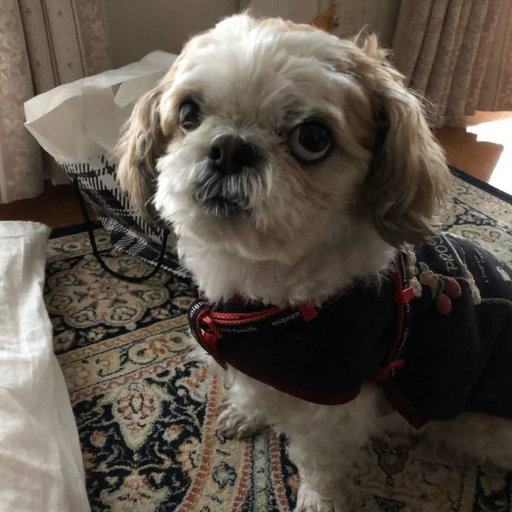 B276d7e8 ad0b 4cda aece 68c30f4efd64 1585439104486