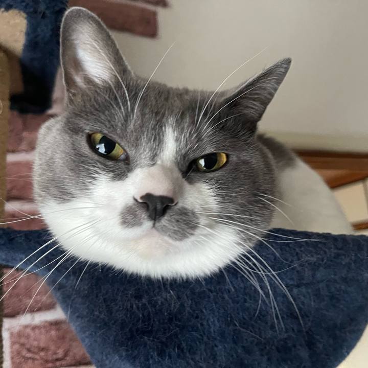 B276e505 ff52 479d a6c6 eda589fc4f95 1671232137929