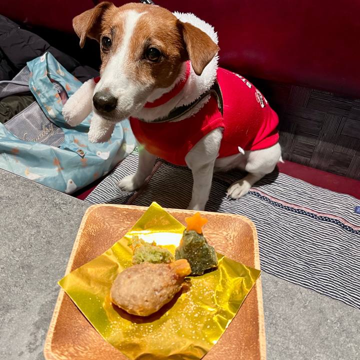 B277008b b087 4c44 806b b225e0ecc121 1703408344226