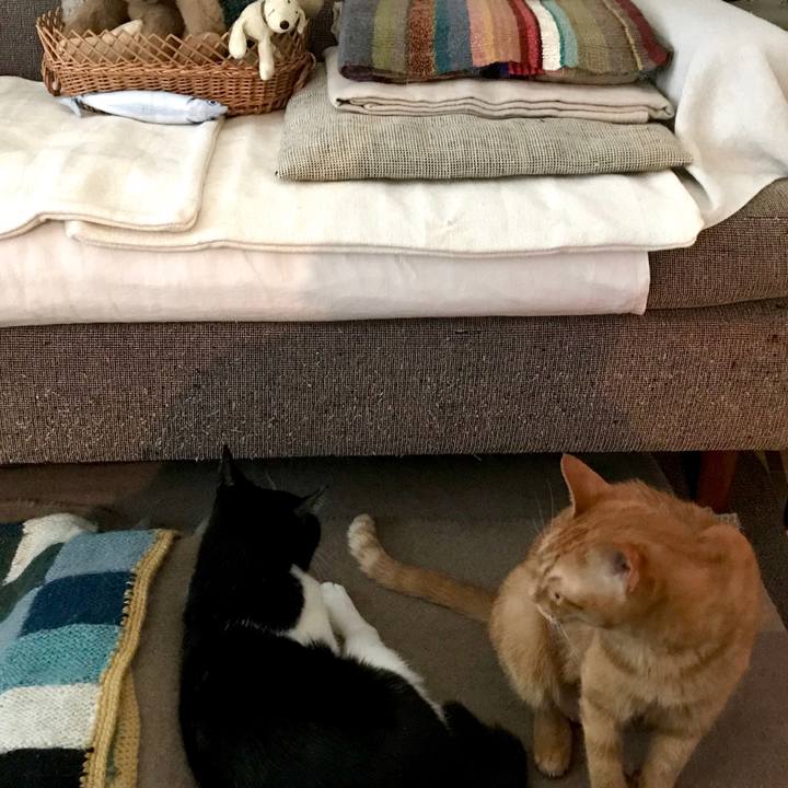 B2774f56 8dd3 482c bd2d e2e03f2e8024 1551683920173