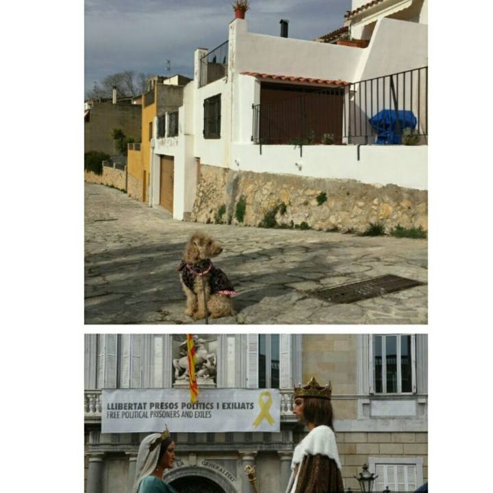 B2779929 81e1 4809 a766 2bd0a25c1e35 1550088791291