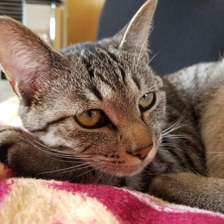 B277c8de 670e 4f0f 9dfd 95669579f6cf 1681319444327