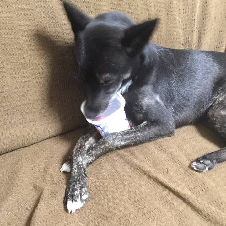 B277ea94 3dfa 4e67 a445 980353adf875 1572305237728