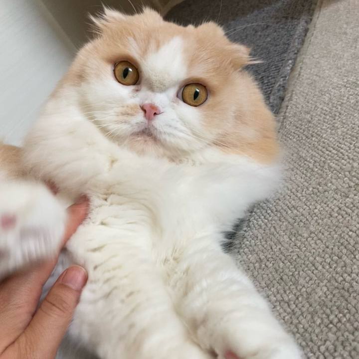 B277eaa6 c4f8 4229 b0ef 67abb441748f 1626917813297