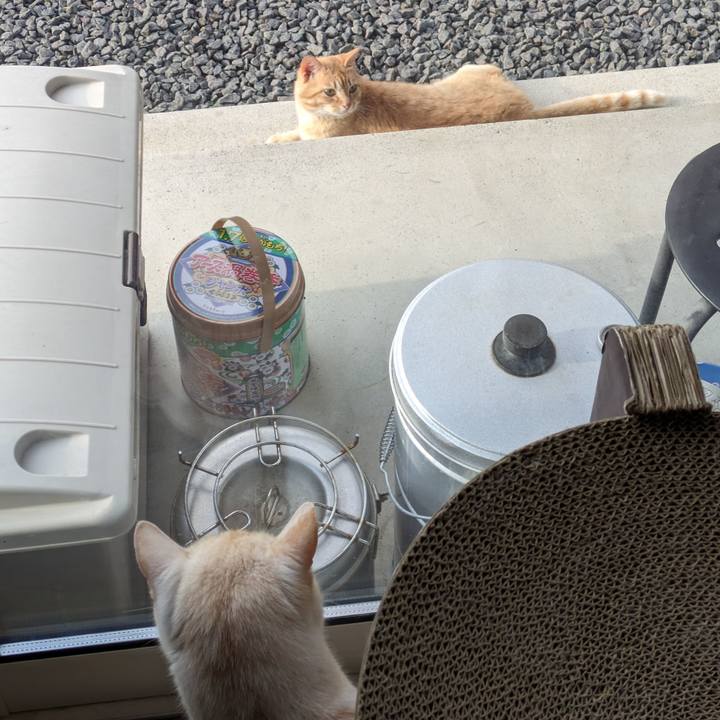 B277fefd 6c64 449c a334 e7421b6b1ba5 1688862522171