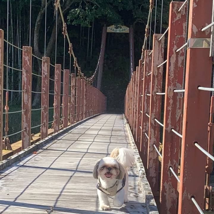 B27811b8 bb04 4e7d b0b9 bc5ee1164f70 1667455182798