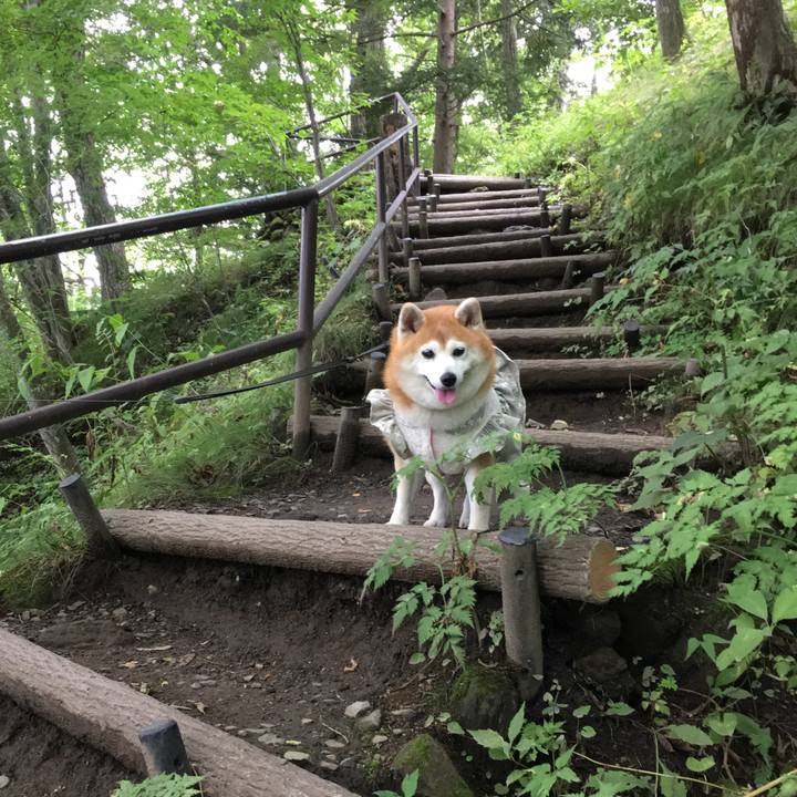 B27819ca 03db 4b1a 8b51 ba3d0f181e78 1537161745945