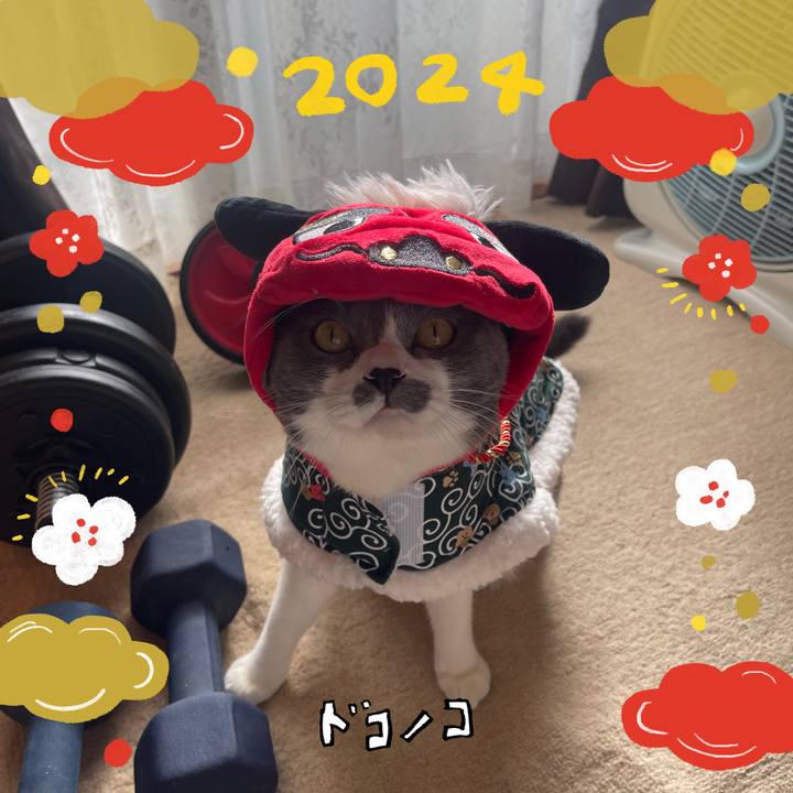 B2783bce 5d86 41d6 bf0a 5c8c75076e3c 1704081653352